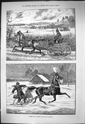 Old Print 1882 Summer Winter Driving Austria Horses Sledge Cart Transport 19th