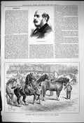 Old 1882 Fabio Campana Carthorse Show Islington Parade Prize Winners Victorian
