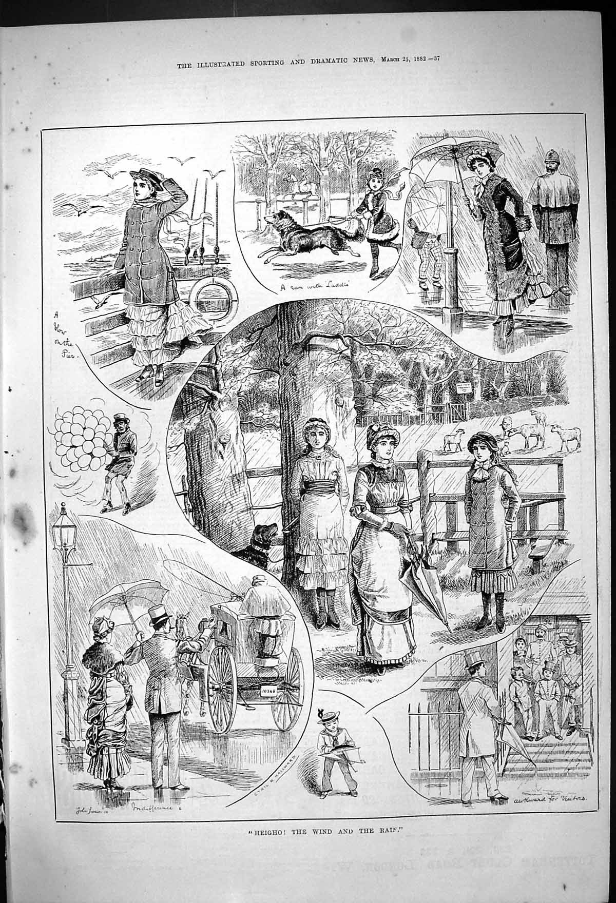 Old 1882 Wind Rain Stormy Weather Ladies Umbrellas Horse Transport Co Victorian