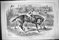 Antique Old Print 1882 Flat Refusal Horses Jockeys Jumping Hedge Fence Sport