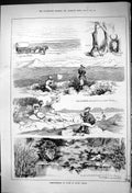 Old 1882 Reminiscences Sport South Africa Hunting Springbok Van Stade Victorian