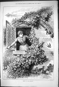Antique Old Print 1882 Return Swallow Bird Woman House Window Couldery Swain
