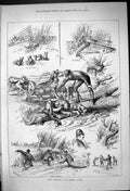 Antique Old Print 1882 Otter Hunting Kennet Valley Huntsman Hounds Dogs Sport