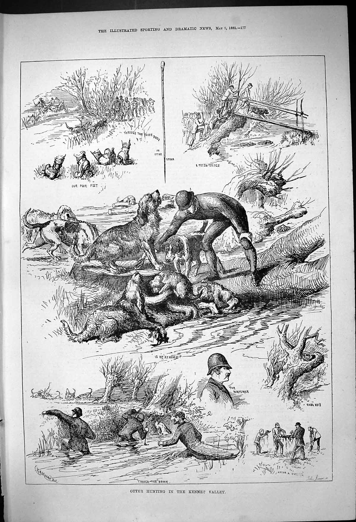 Antique Old Print 1882 Otter Hunting Kennet Valley Huntsman Hounds Dogs Sport