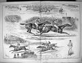 Original Old Antique Print 1882 Derby Oaks Horse Racing Sport Jockeys 19th