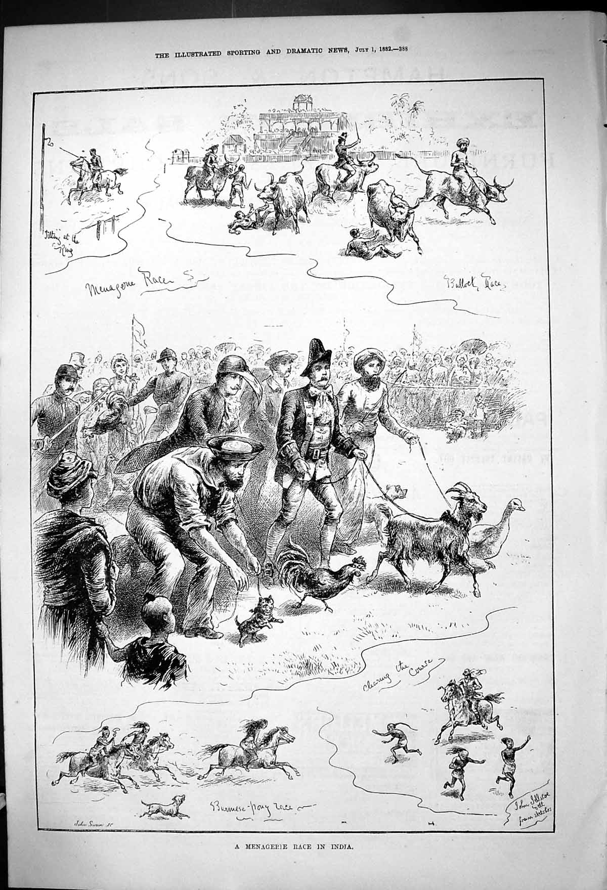 Old 1882 Menagerie Race India Animals Bullock Burmese Pony Race Goat Victorian
