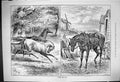 Original Old Antique Print 1882 Youth Age Horses Trees Windmill Beach Scene