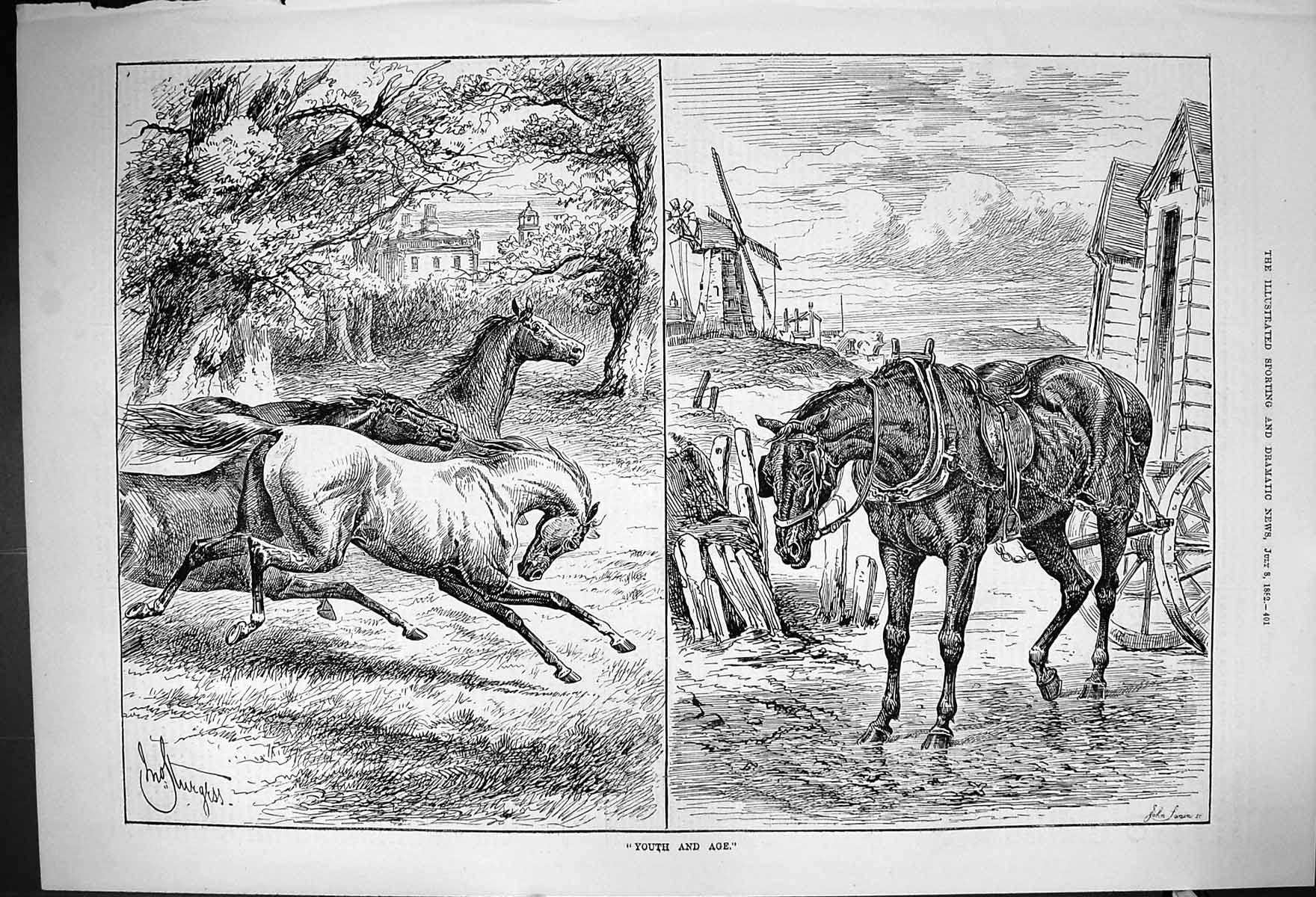 Original Old Antique Print 1882 Youth Age Horses Trees Windmill Beach Scene