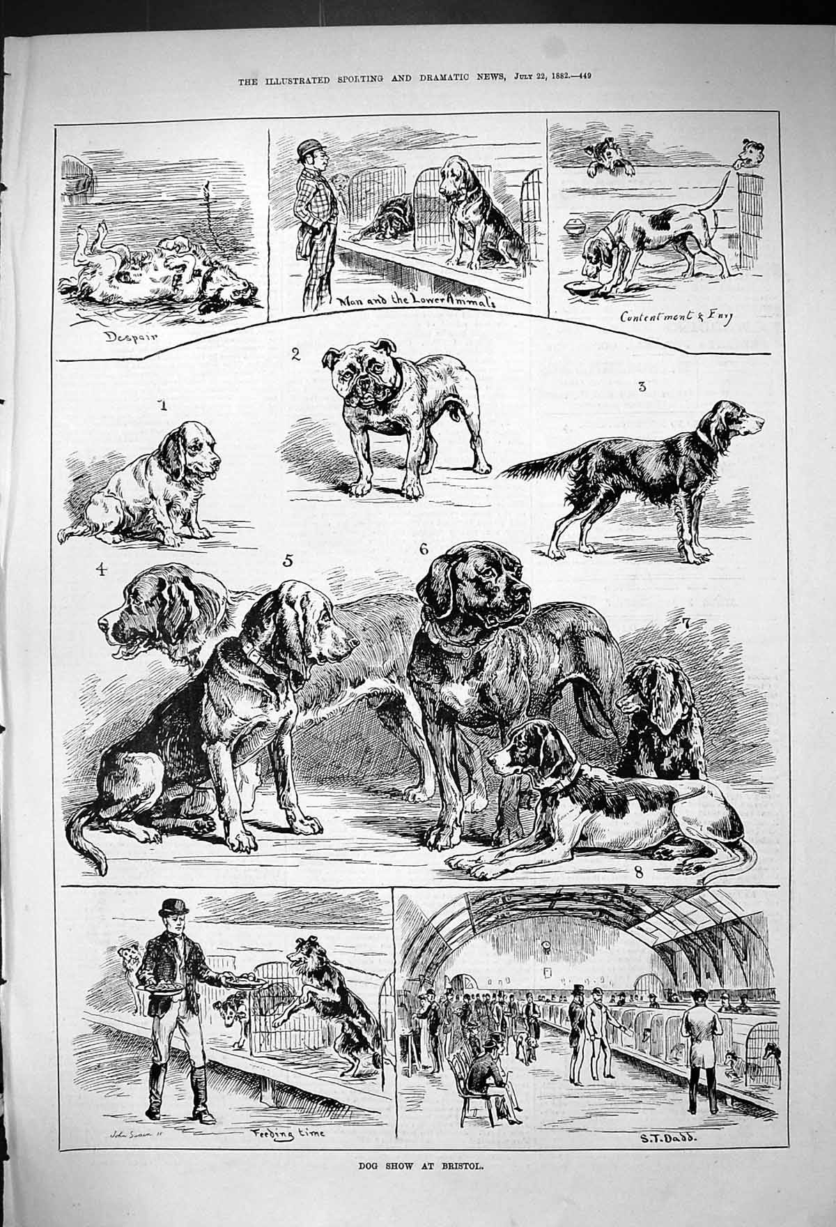 Antique Old Print 1882 Dog Show Bristol Feeding Time Bulldog Kennels Hounds