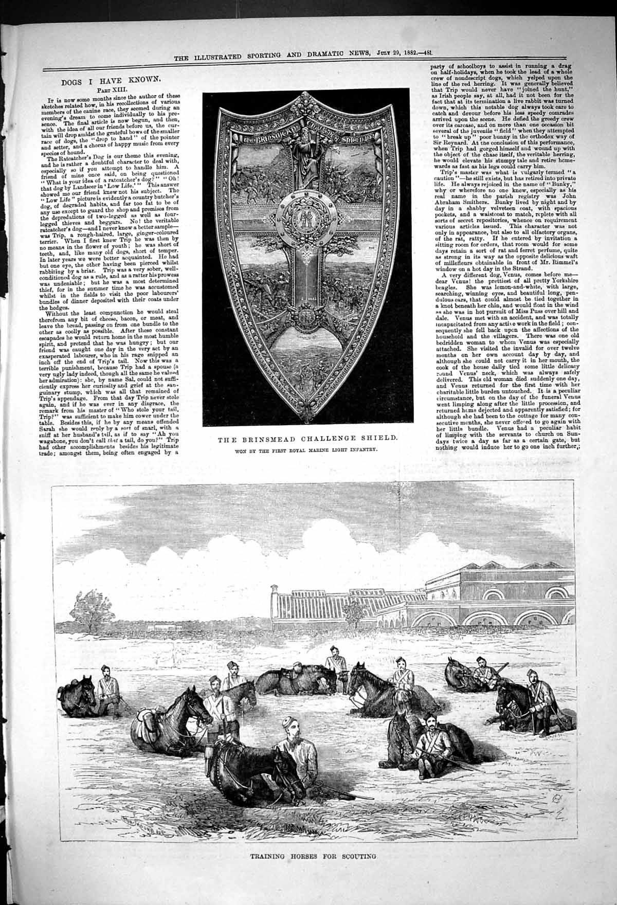 Old Print Brinsmead Challenge Shield Training Horses Scouting 1882 Sport 19th