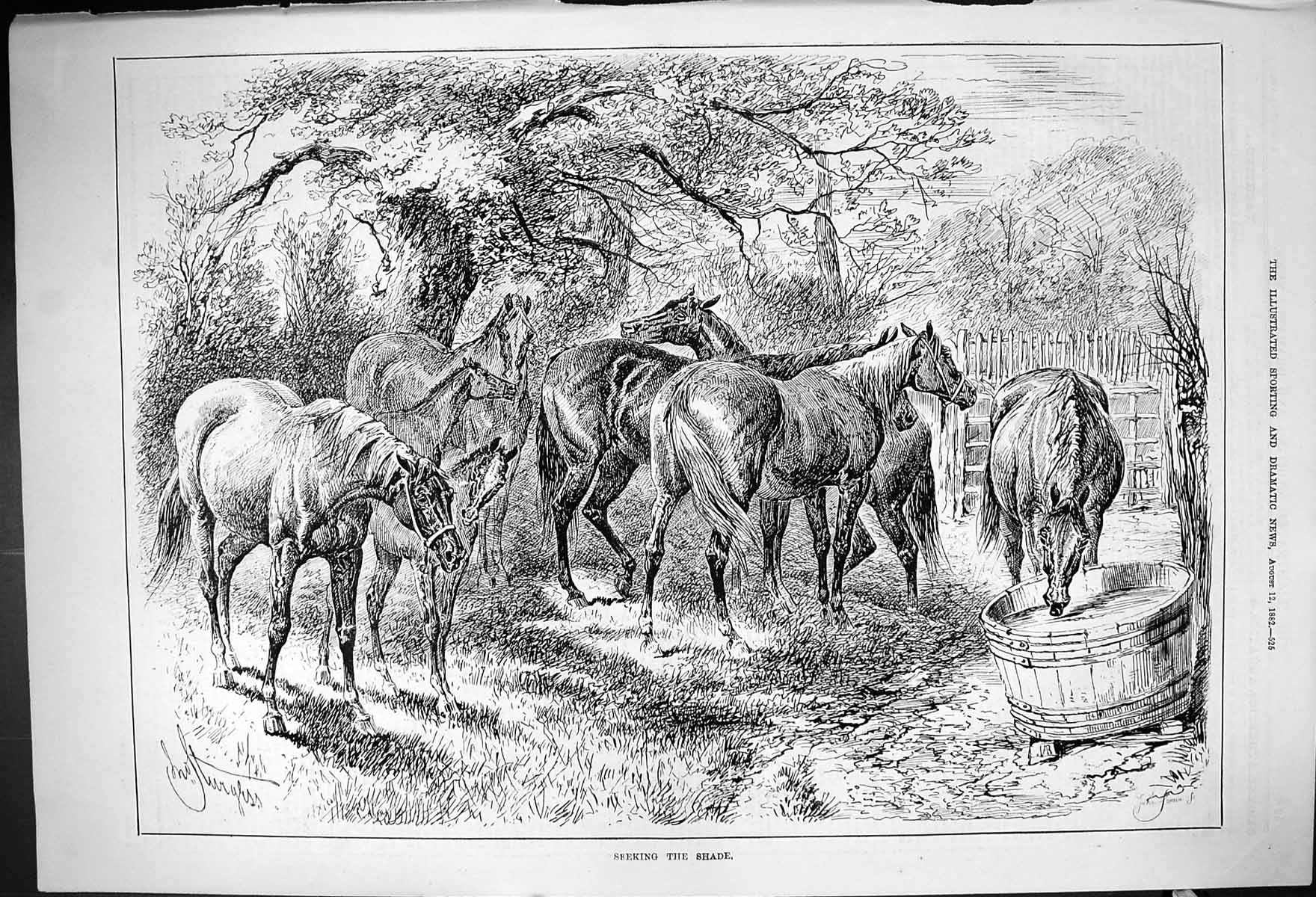 Old Antique Print 1882 Seeking Shade Horses Field Drinking Water Bucket 19th