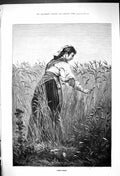 Original Old Antique Print 1882 Beautiful Woman Cornflowers Field Agriculture
