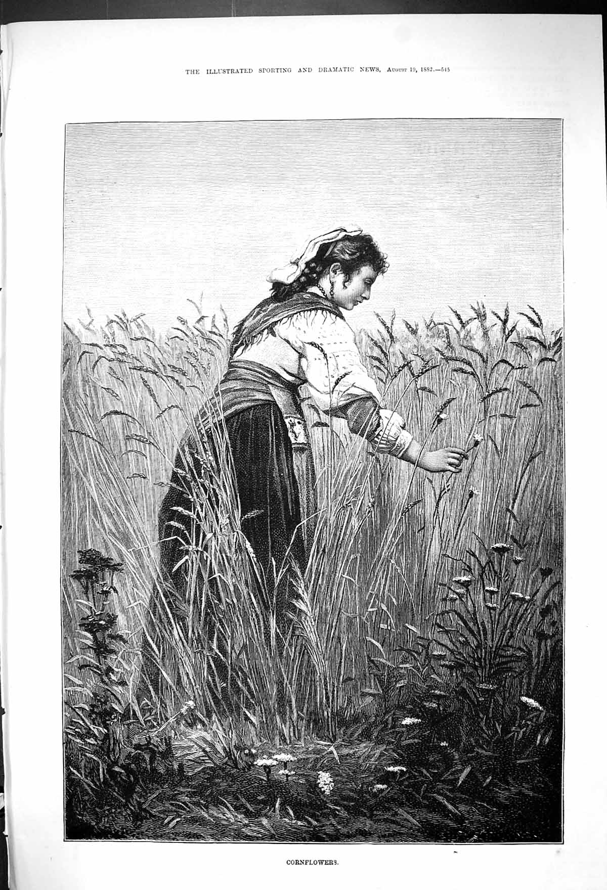 Original Old Antique Print 1882 Beautiful Woman Cornflowers Field Agriculture