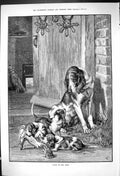 Original Old Antique Print 1882 Puppy Dogs Hunting Hounds Chewing Horse Bone