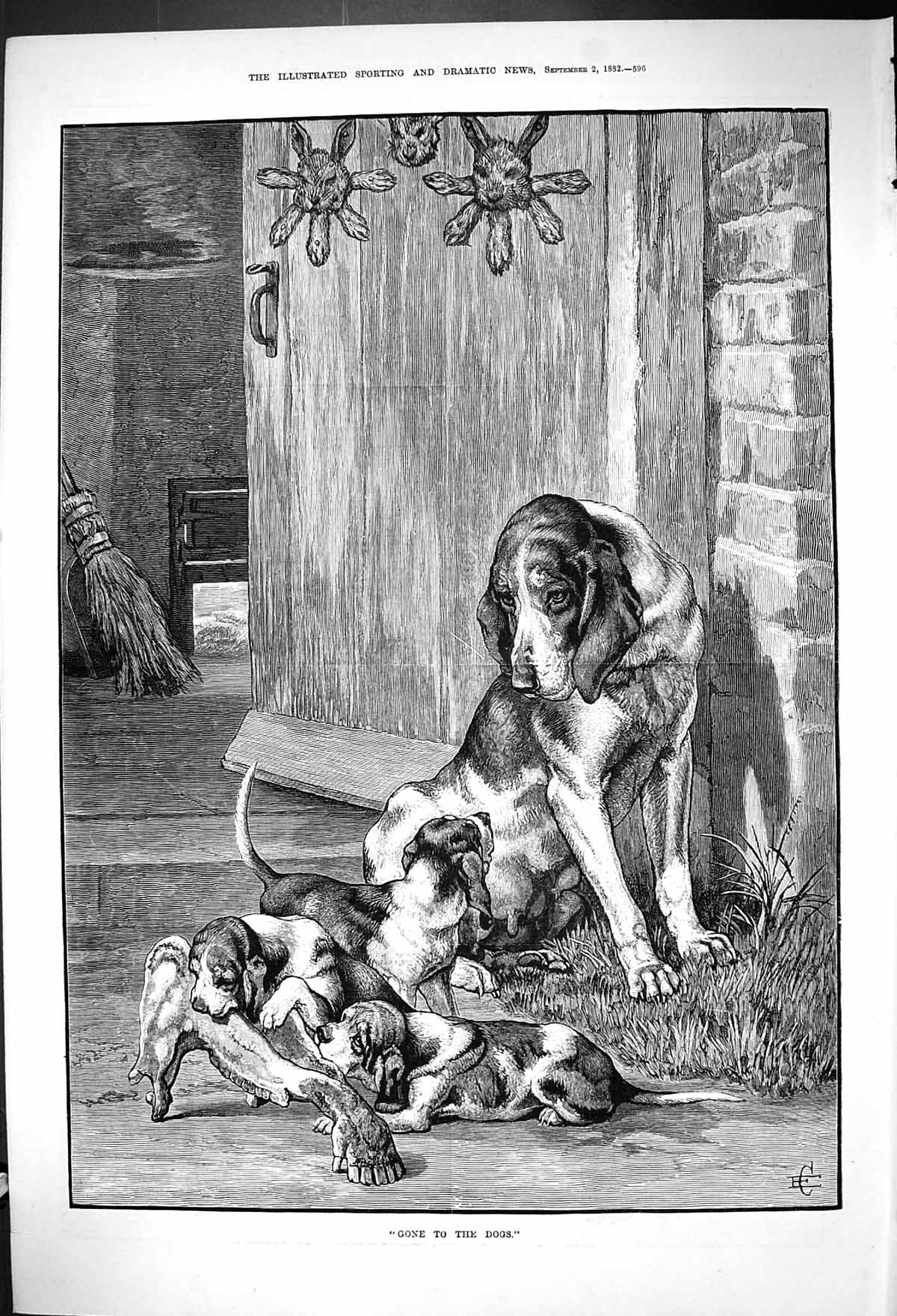 Original Old Antique Print 1882 Puppy Dogs Hunting Hounds Chewing Horse Bone