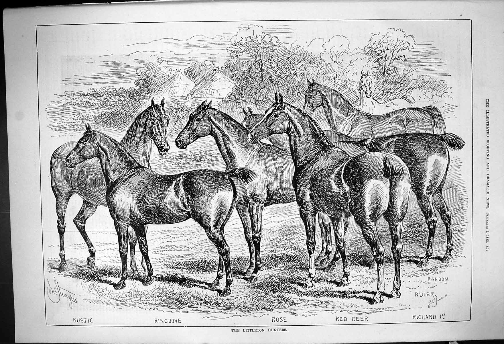 Old 1882 Littleton Hunters Horses Red Deer Ringdove Rustic Richard Ru Victorian