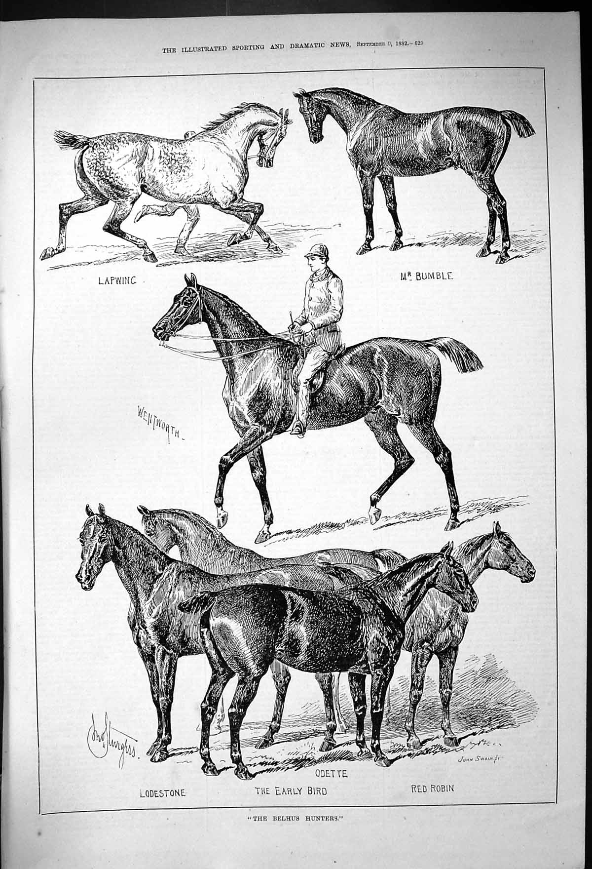 Old Belhus Hunters Horses Lodestone Early Bird Wentworth Robin Bumble