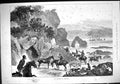Old Sport 1882 Fox Cub Hunting Cornwall Horses Hounds Ships Seaside S Victorian
