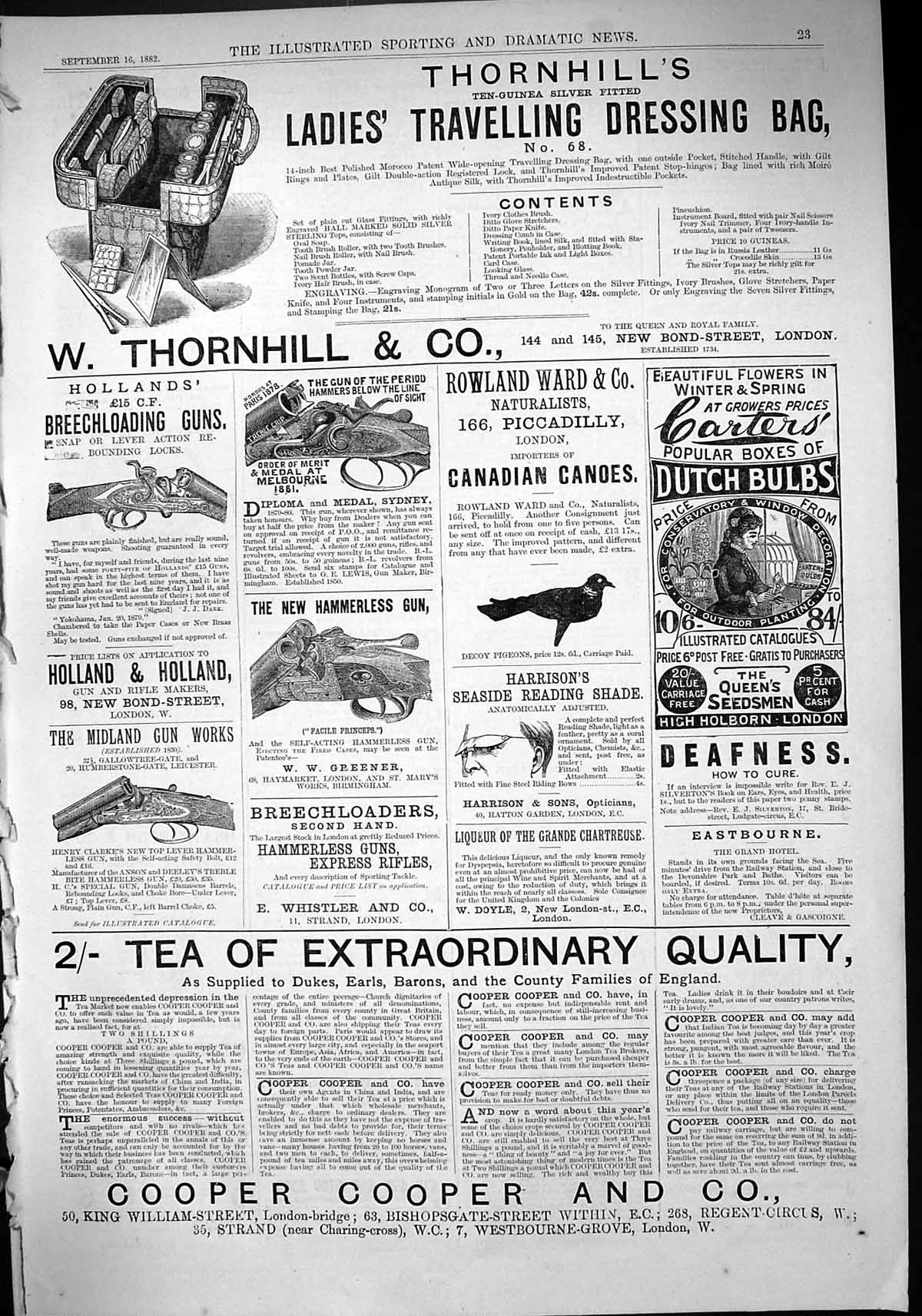 Antique Print 1882 Thornhill Bag Holland Guns Carters Bulbs Cooper Midland 19th