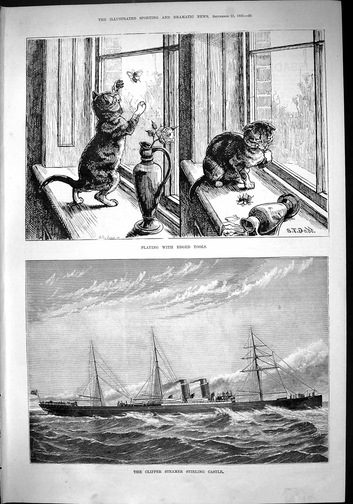 Old 1882 Clipper Steamer Ship Stirling Castle Cat Bee Playing Edged T Victorian