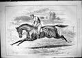 Original Old Antique Print 1882 Horse Racing Sport Jockey Training John Swain