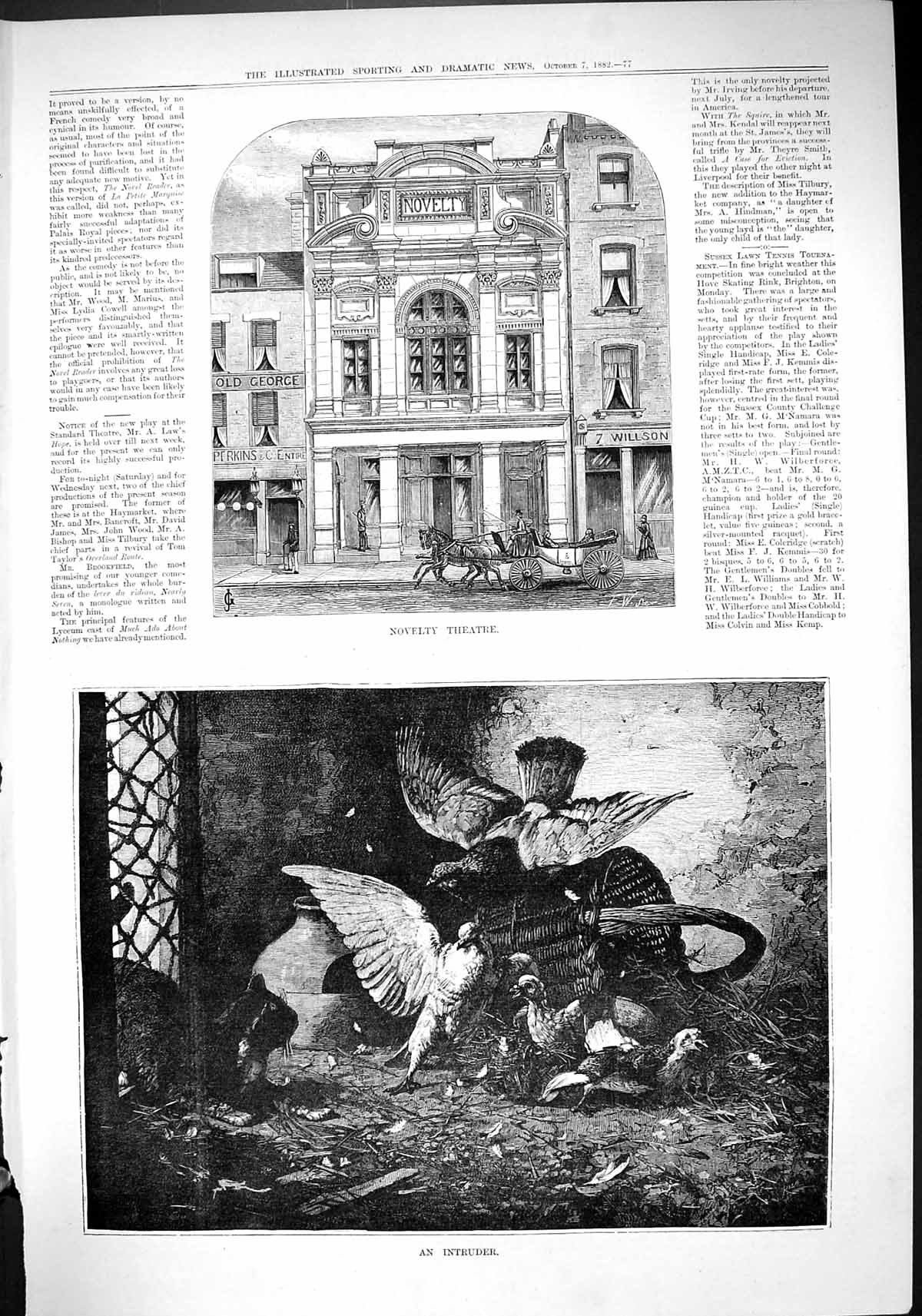 Old 1882 Exterior Architecture Novelty Theatre Intruder Birds Basket Victorian