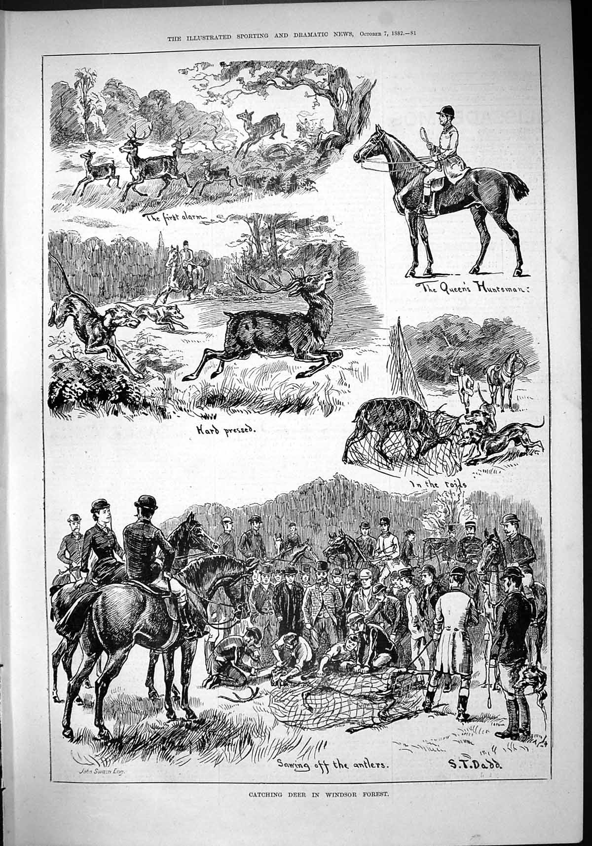 Old Sport 1882 Deer Hunting Windsor Forest Queen'S Huntsman Hounds Do Victorian