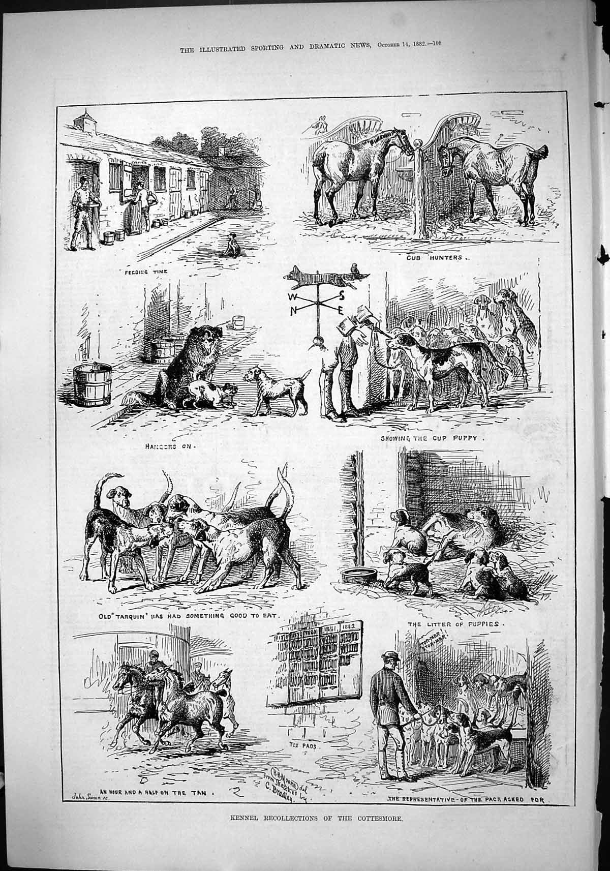 Old Sport 1882 Kennel Recollections Cottesmore Horses Hunting Hounds Victorian