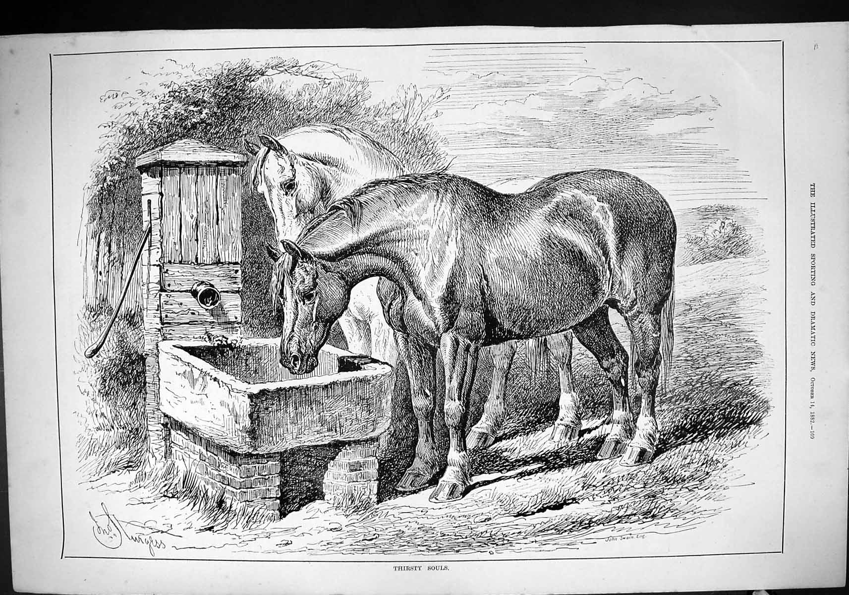 Original Old Antique Print 1882 Thirsty Souls Horses Drinking Well John Swain