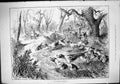 Old Sport 1882 Fox Cub Hunting Hounds Dogs Shepherd Sheep-Dog John Sw Victorian