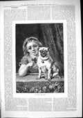Original Old Antique Print 1882 Young Girl Puppy Dog Look Out Taylor Victorian