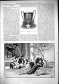 Old 1882 Cup Murdoch Captain Australia Cricket Hound Dogs Fighting Fu Victorian