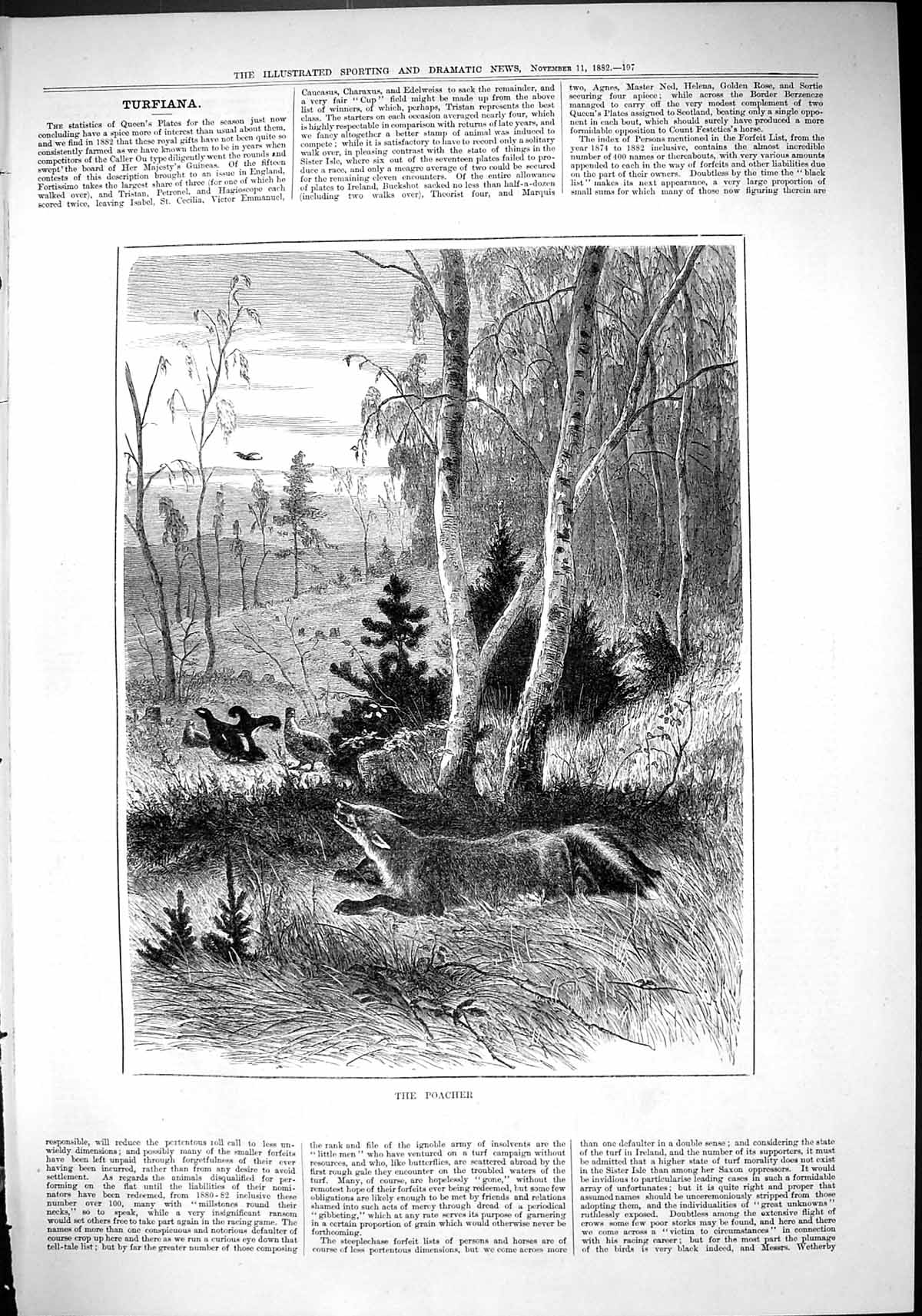 Original Old Antique Print 1882 Nature Fox Hunting Birds Poacher 19th