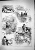 Old Sport 1882 Perch Fishing Hampton Paternoster Ditton Fishermen Ham Victorian