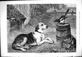 Old 1882 Talkative Visitor Hound Dog Bird Barrel Farmyard Holmes Fine Victorian