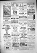 Old 1883 Webbs Wordsley Gillott Salvo Holland Guns Lea Perrins Carter Victorian