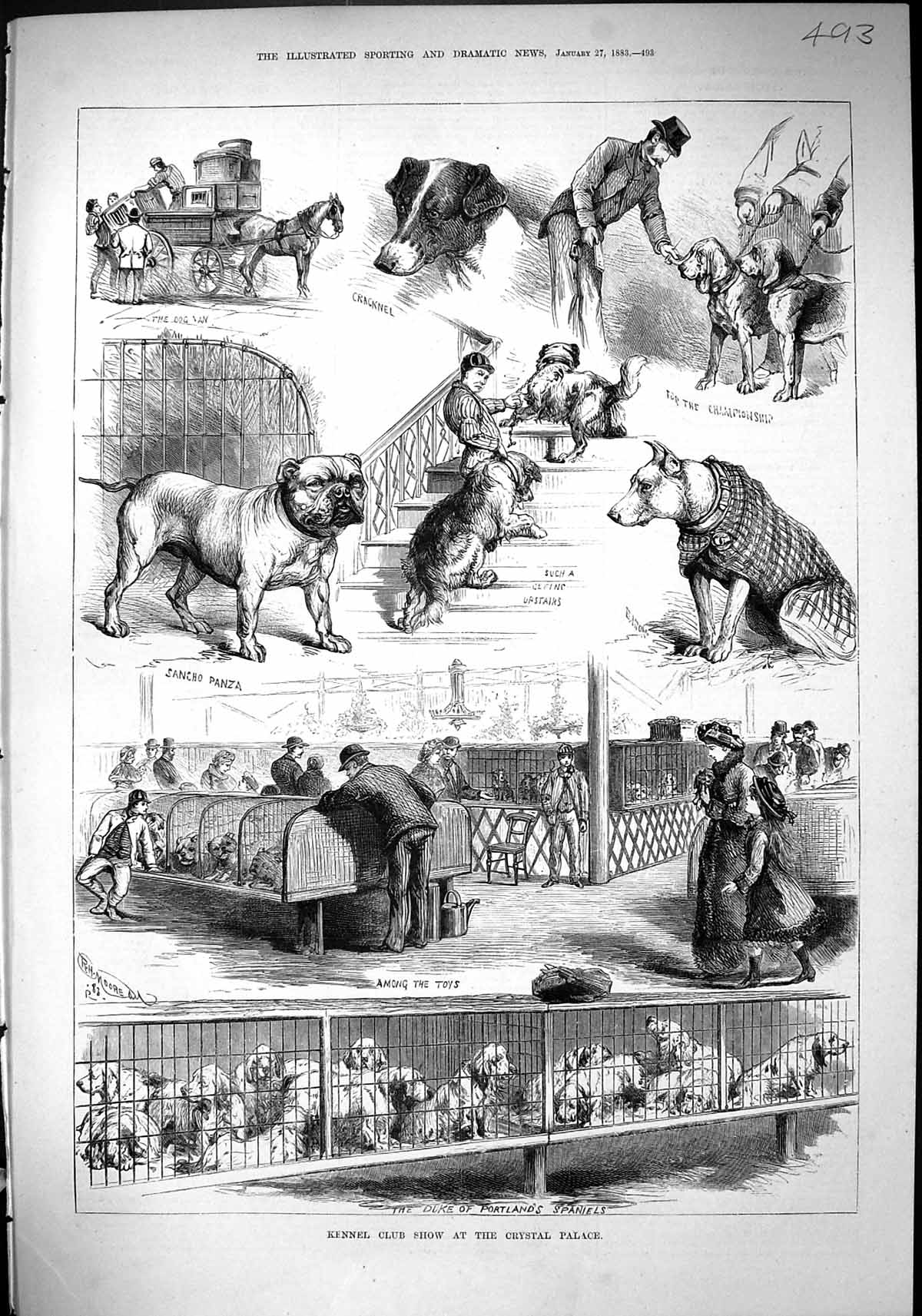 Old 1883 Kennel Club Dog Show Crystal Palace Sancho Panza Duke Portla Victorian