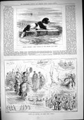 Old 1883 Prince Charlie Kennel Club Show Winner Dog Sport Deck Ship H Victorian
