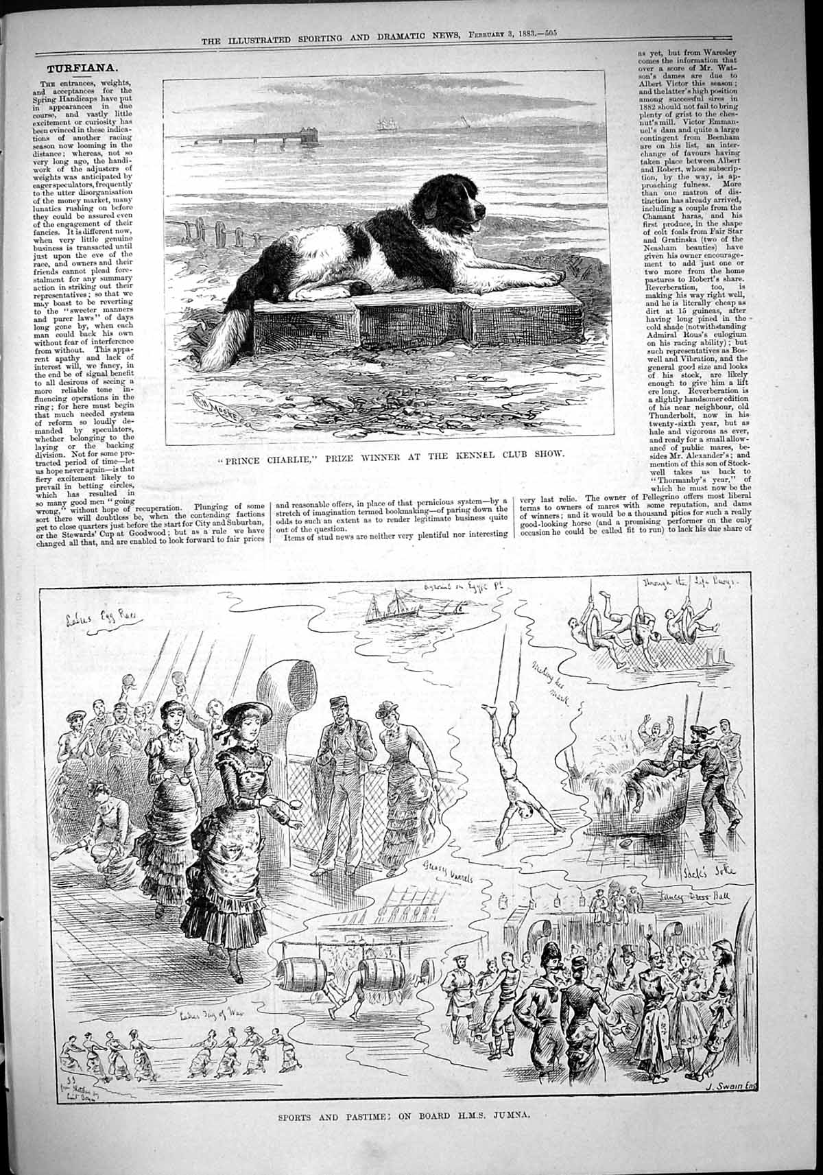 Old 1883 Prince Charlie Kennel Club Show Winner Dog Sport Deck Ship H Victorian