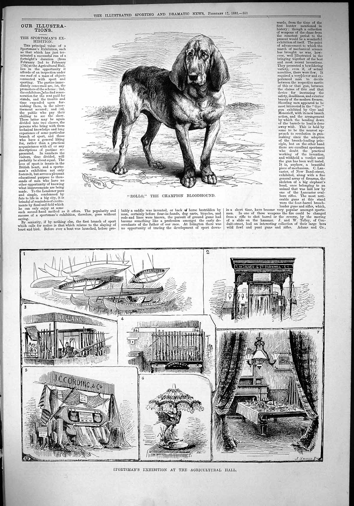 Old 1883 Rollo Champion Bloodhound Sportsman Exhibition Agricultural Victorian
