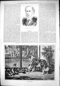 Antique Old Print 1883 Portrait Mr Crawford Left Home Hunting Horses Pet Dogs