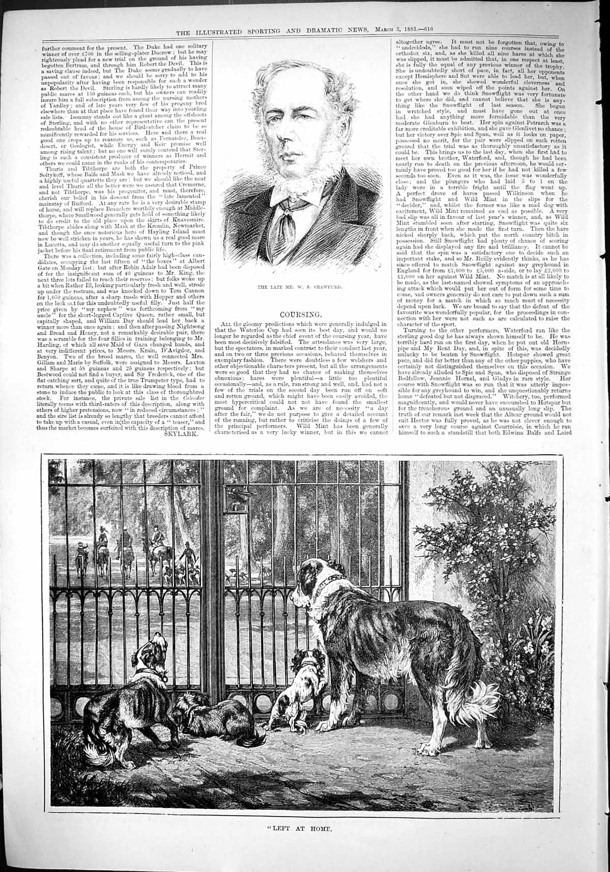 Antique Old Print 1883 Portrait Mr Crawford Left Home Hunting Horses Pet Dogs