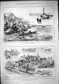 Old 1883 Pollock Fishing Kerry Ireland Sandown Sport Horse Racing Cov Victorian