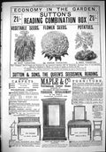 Antique Old Print 1883 Sutton Flower Seeds Potatoes Maple Furniture Tottenham