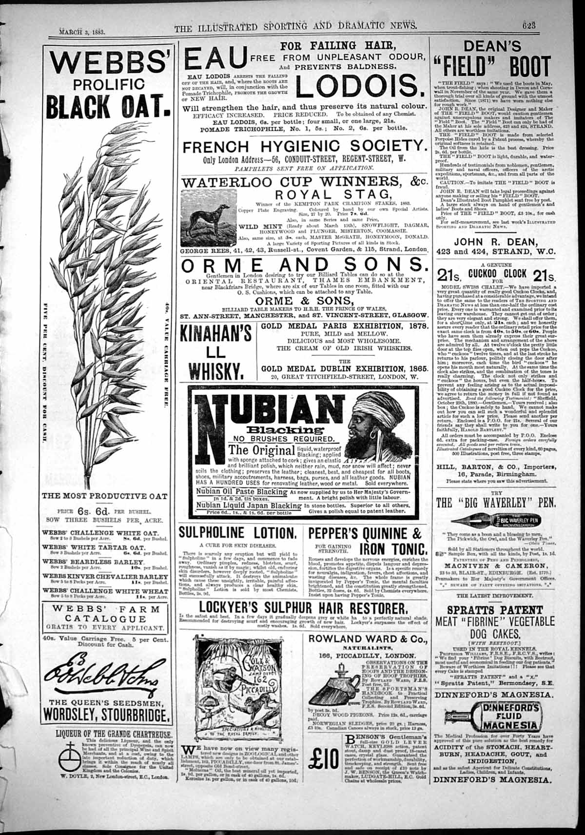 Old Print 1883 Webbs Black Oat Orme Waterloo Cup Lockyer Nubian Paste Pen 19th