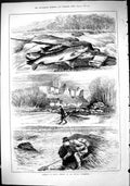 Old Sport 1883 Opening Trout Fishing River Swale Yorkshire Richmond C Victorian