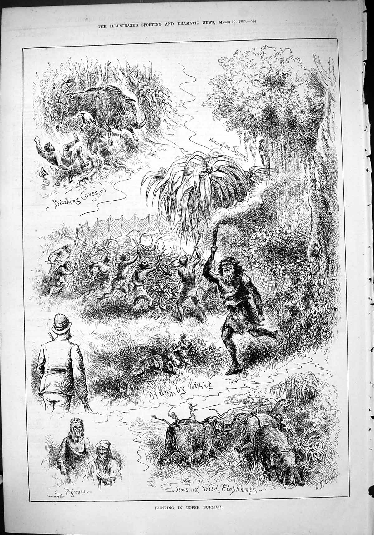 Original Old Antique Print Sport 1883 Hunting Upper Burmah Elephants Pigmies