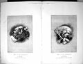Original Old Antique Print 1882 Portrait Dogs Corporation Sheriff Macebearer