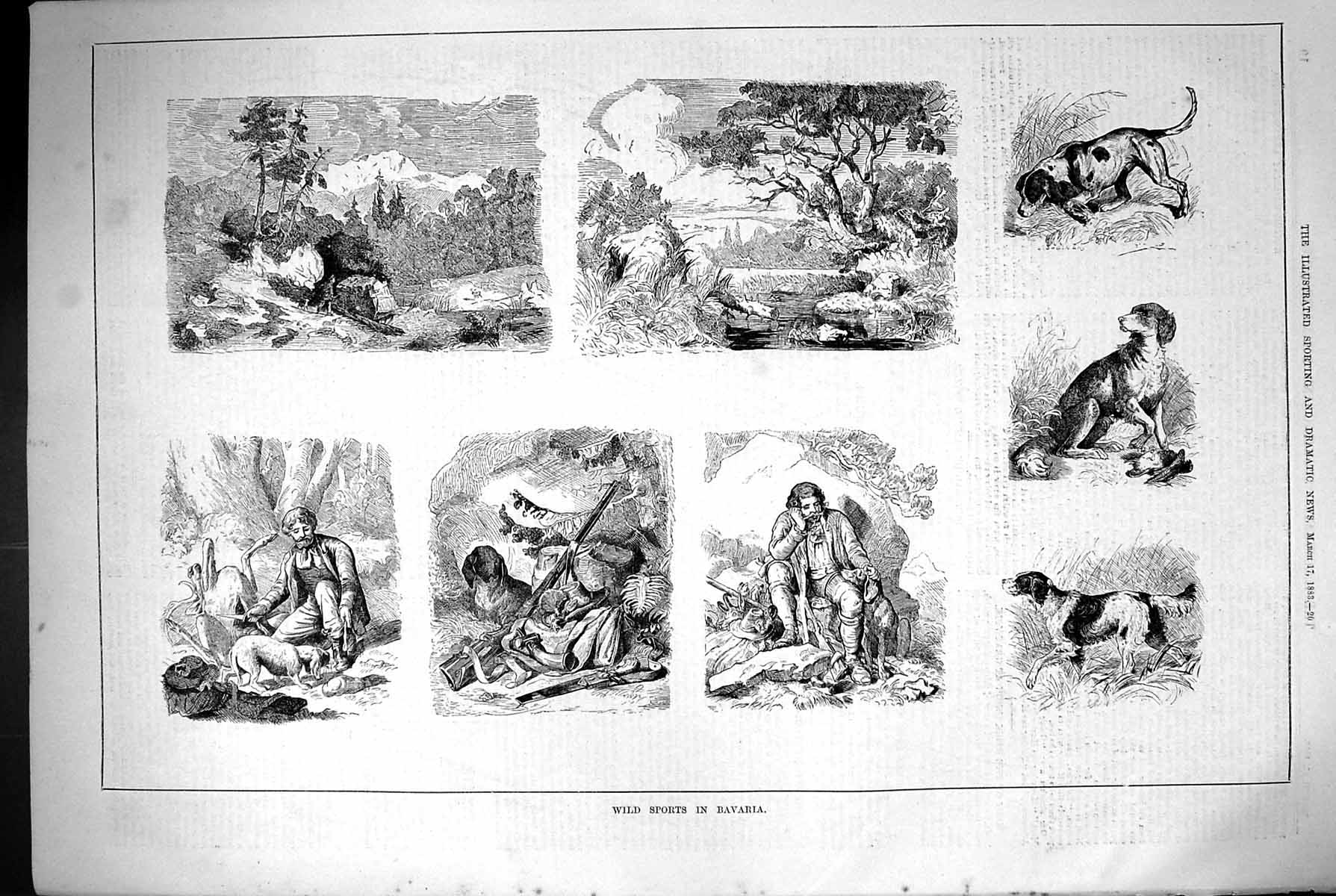 Old Antique Print 1883 Wild Sports Bavaria Hunting Shooting Hounds Dogs 19th