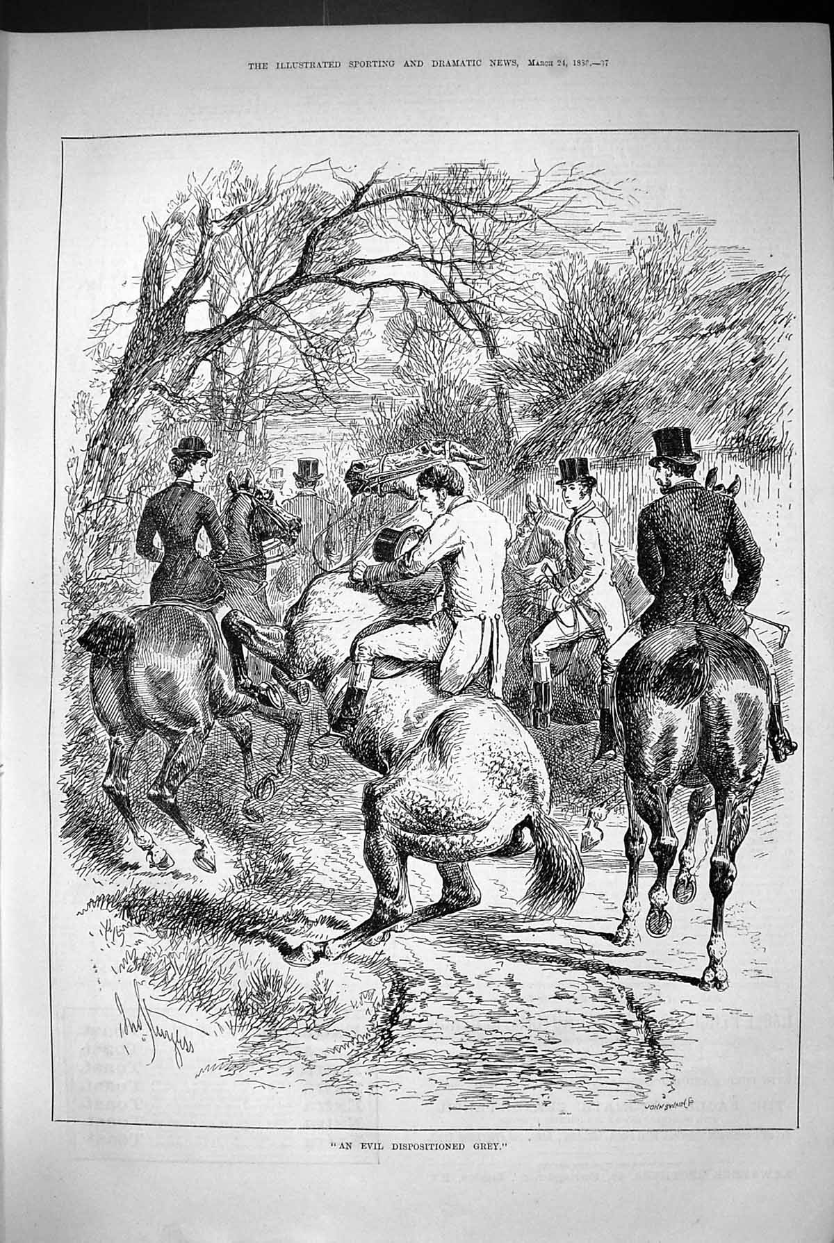 Original Old Antique Print 1883 Evil Dispositioned Grey Horse Hunting Scene